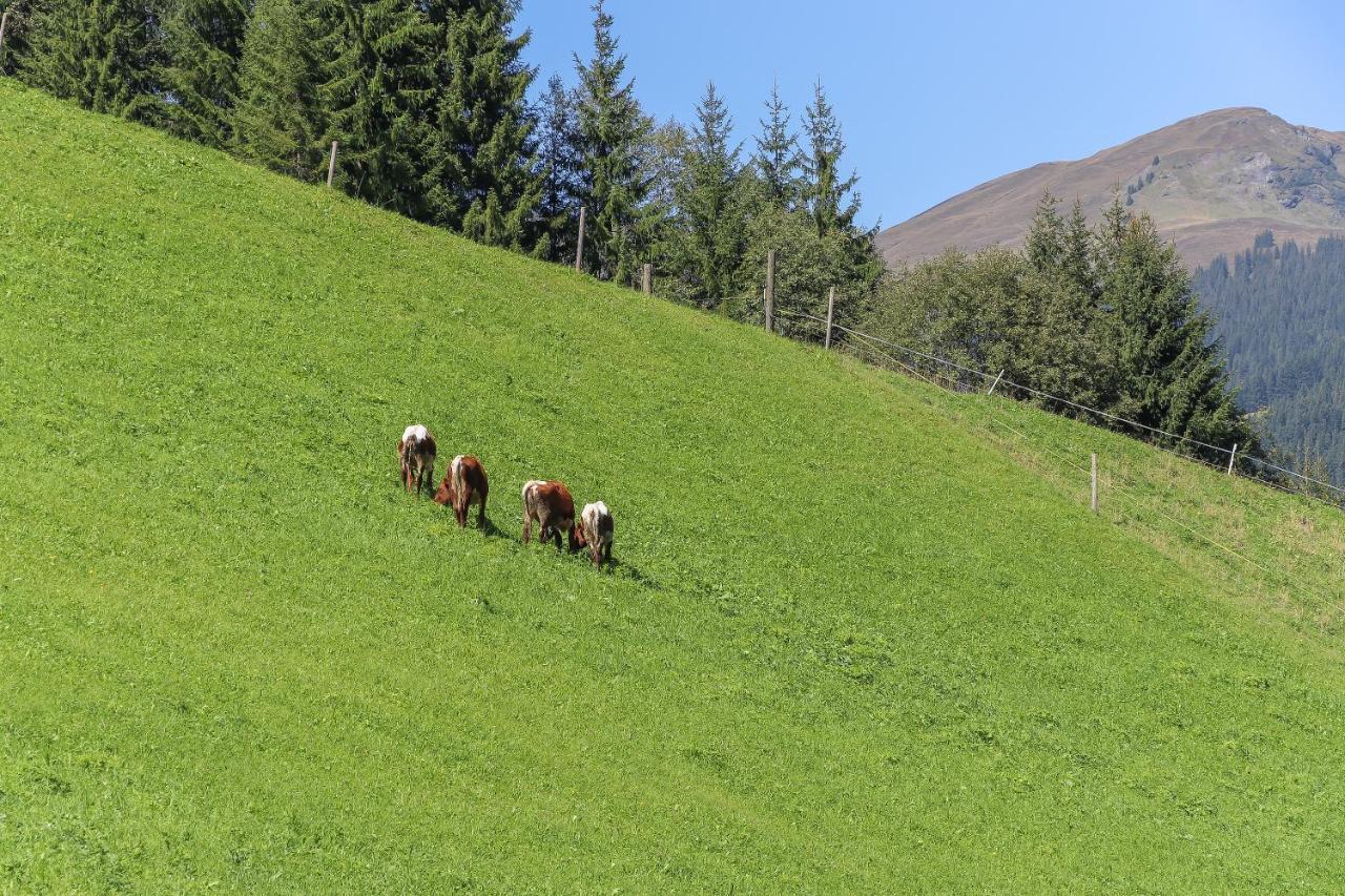 Apartamento Landhaus Hinterglemm Saalbach-Hinterglemm Exterior foto